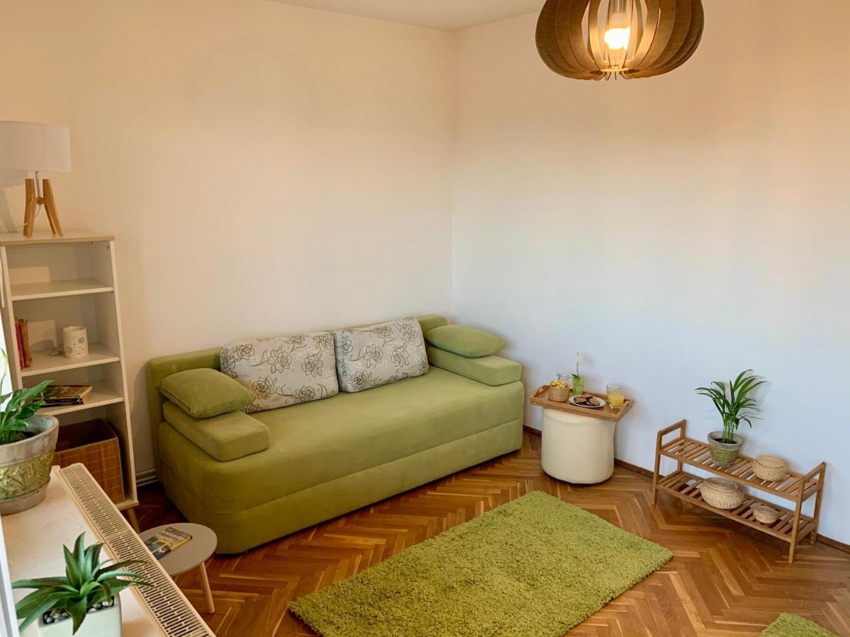 Viktory Appartamento Braşov Esterno foto